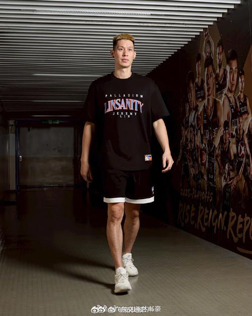 林书豪身高臂长，林书豪的身高臂展