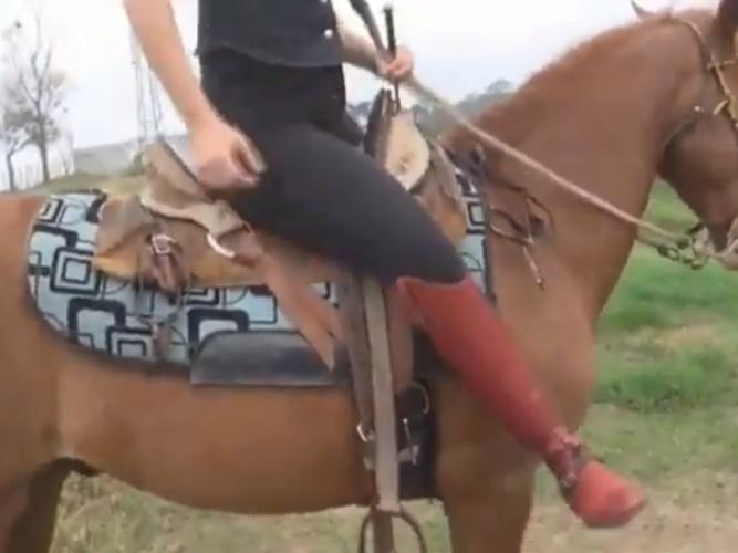 用马刺踢马肚子，骑马马刺踢马肚子图片