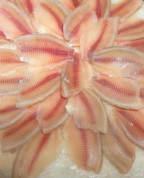 nba鱼腩球队有哪些，鱼腩一般是什么鱼？